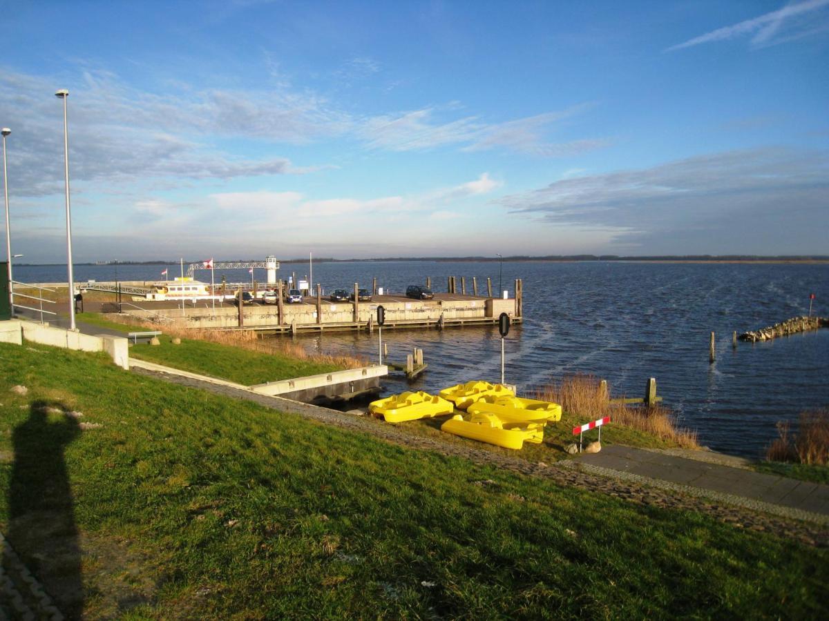 Haus Kormoran Am Lauwersmeer 175 Anjum 外观 照片
