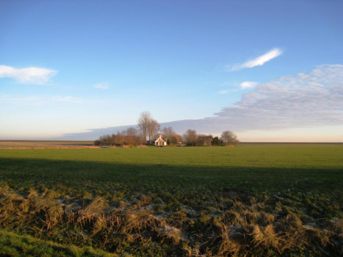 Haus Kormoran Am Lauwersmeer 175 Anjum 外观 照片